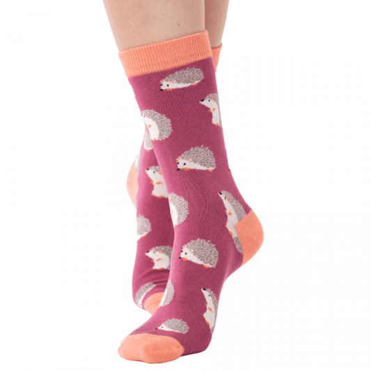 Ladies Bamboo Socks In a Box - Hedgehogs Socks BambooBeautiful Ltd