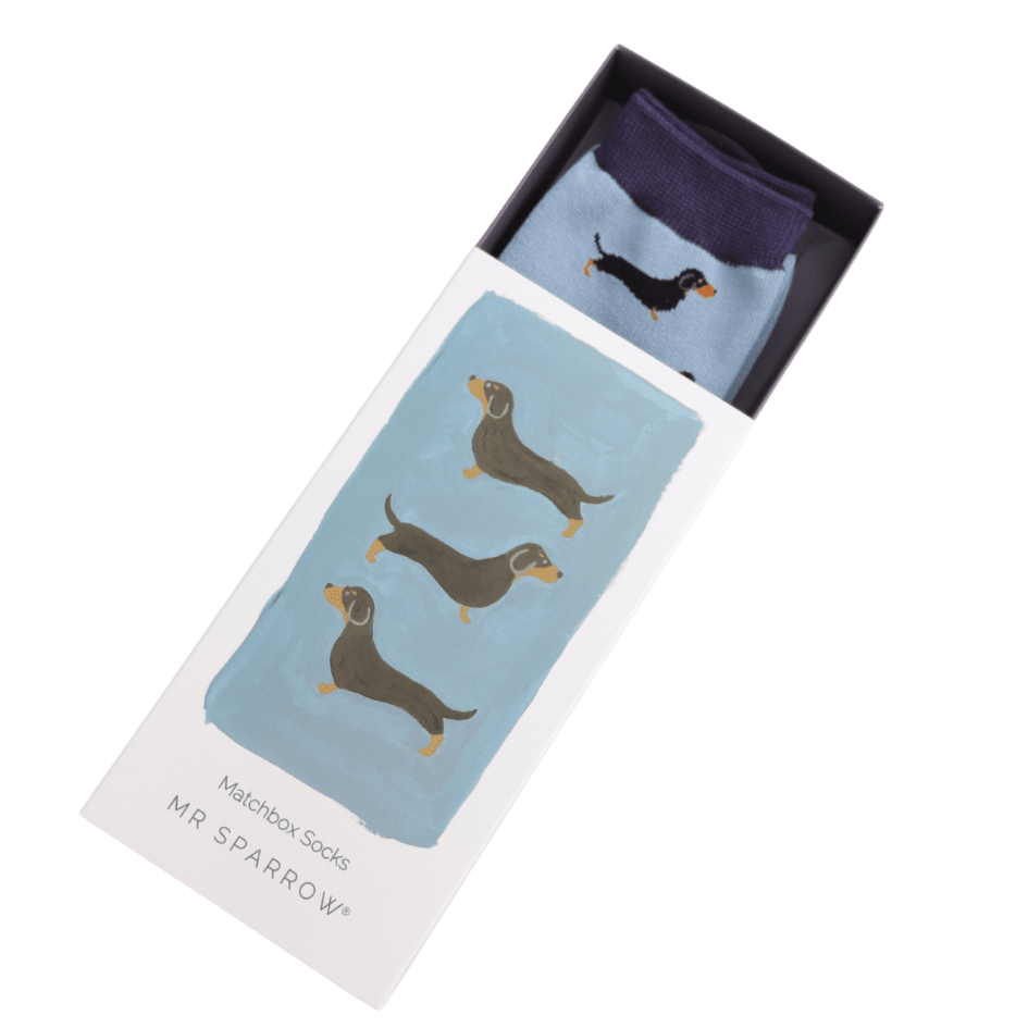 The box lid is slid down, revealing the top of a blue pair of socks with darker cuffs and a daschund design.