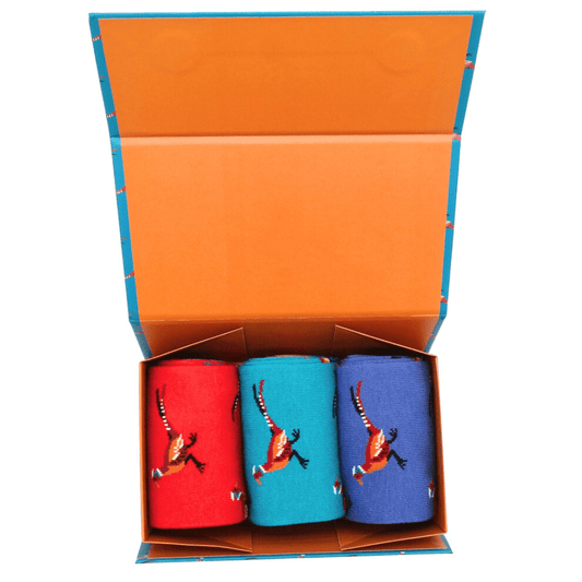 Three pairs of bamboo socks with pheasant design in a box with orange interior. The socks are individually coloured red, light blue and royal blue